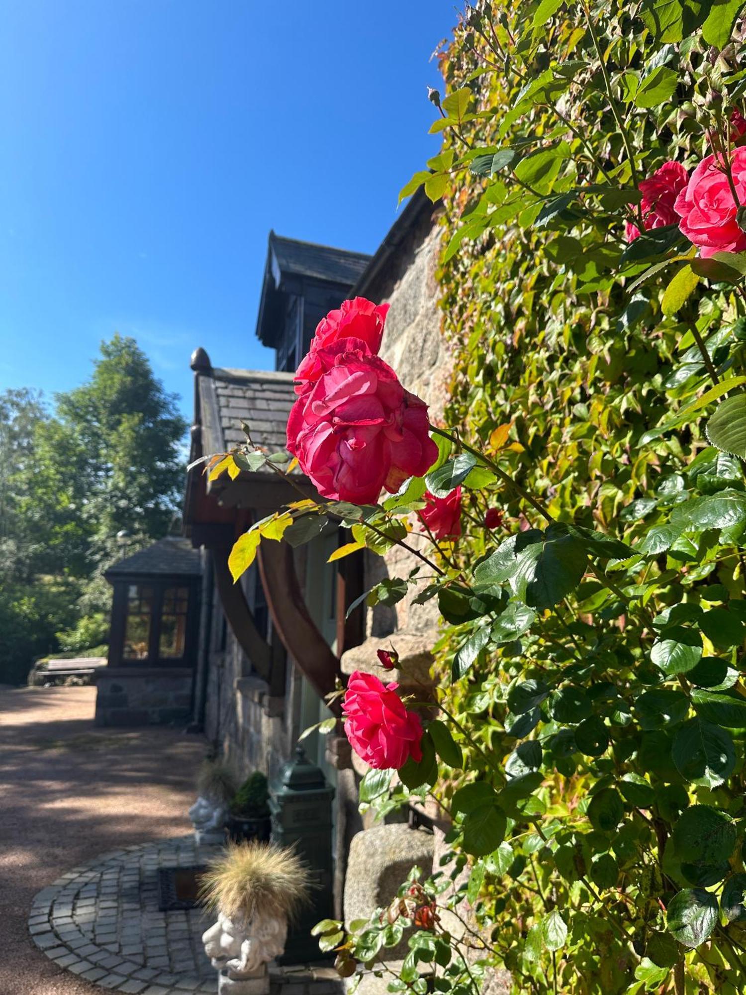 Awakening Alchemy Retreat Centre Bed & Breakfast Inverurie Exterior photo