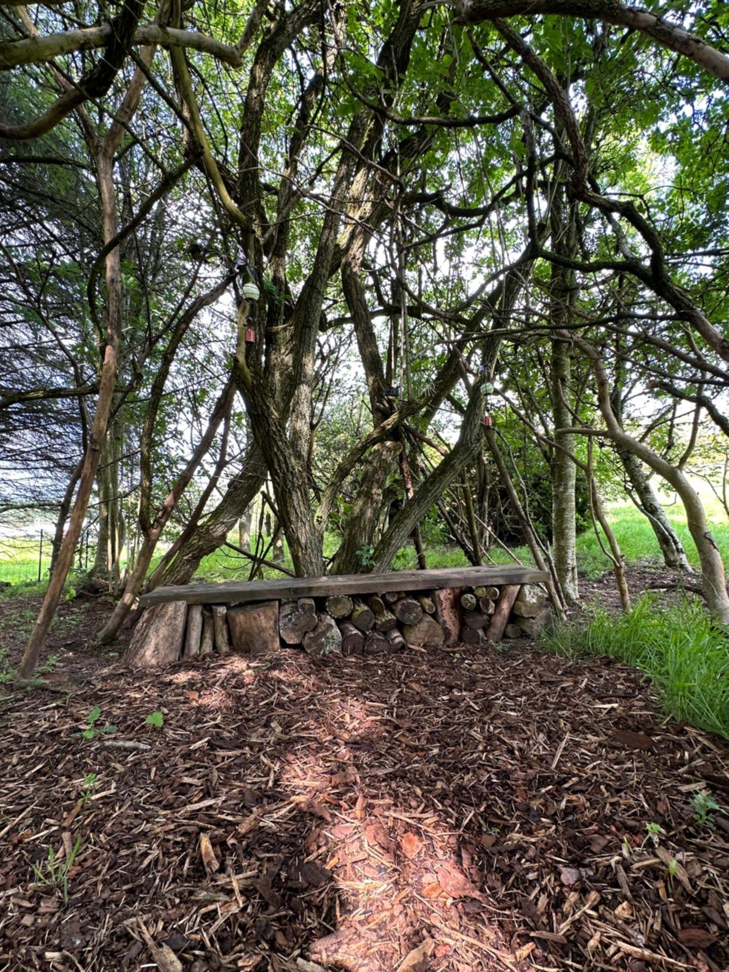 Awakening Alchemy Retreat Centre Bed & Breakfast Inverurie Exterior photo